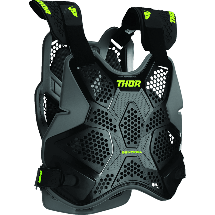 Thor Sentinel Pro Guard