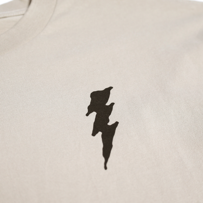 Fasthouse Hail Mary SS Tee in Light Gray