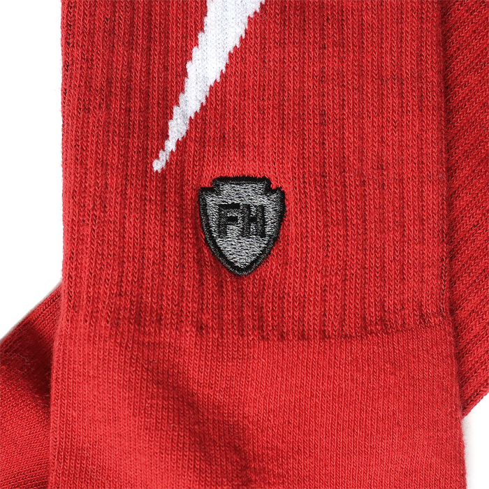 Fasthouse Wired Socks in Cardinal