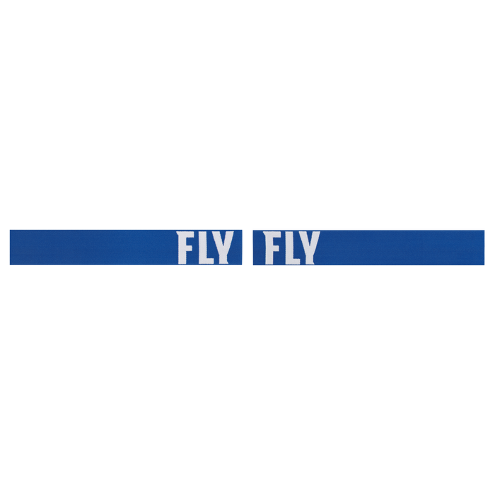 Fly Racing Focus Snow Goggles